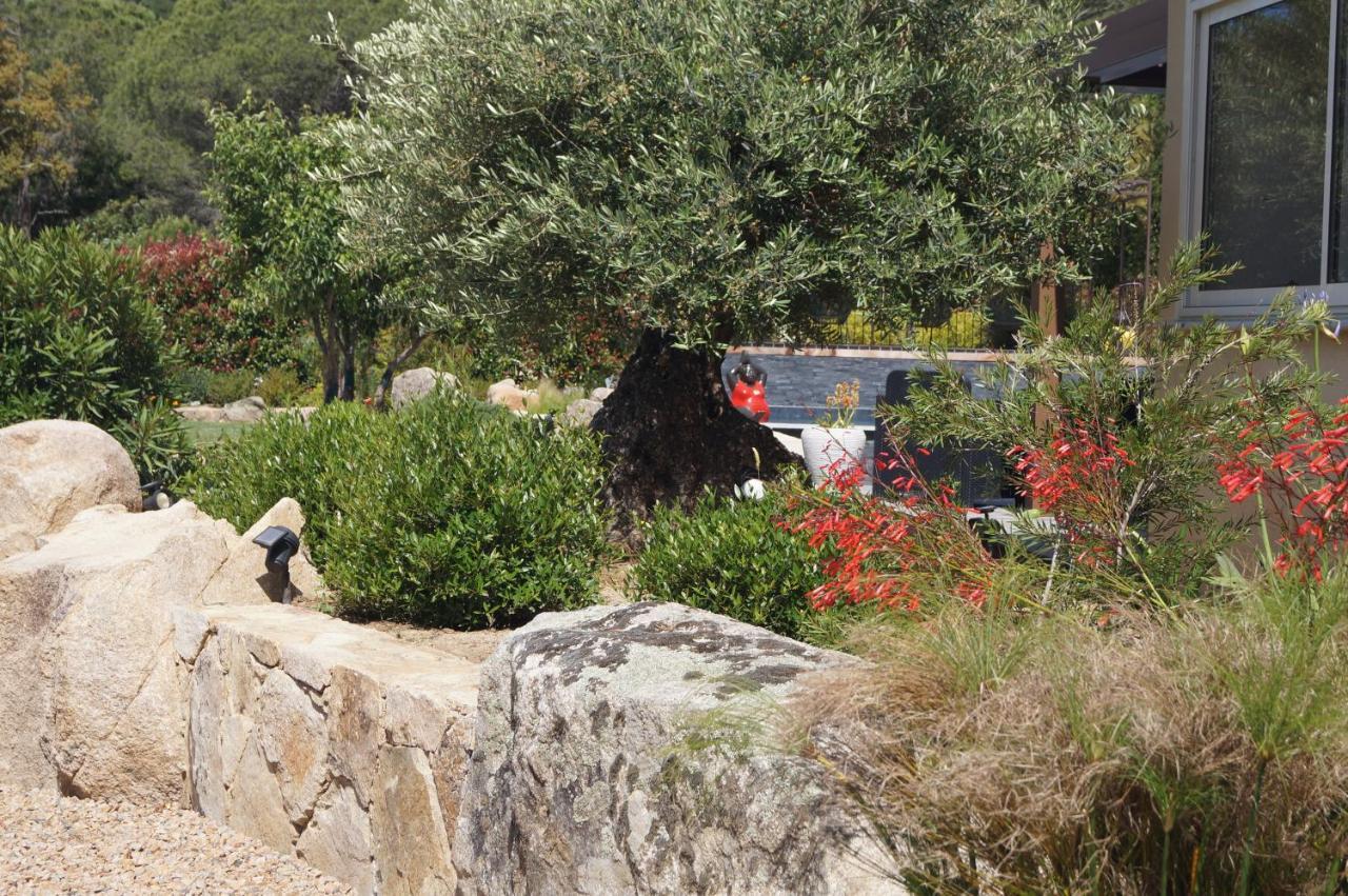 Les Jardins De Santa Giulia - Charmante Chambre D'Hote Porto-Vecchio  Kültér fotó